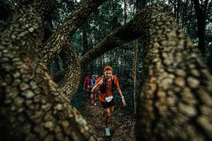 BIB: 
                            <button type="button" onclick="openModal(25672816)" class="btn btn-primary btn-sm float-right btn-popup" data-toggle="modal" data-target=".modal-high-quality">
                        <i class="fas fa-shopping-cart"></i> Add to Cart
                    </button>
                                            <button type="button" onclick="isThisMe(25672816, true)" class="btn btn-success btn-sm float-right btn-popup btn-isme hidden" data-toggle="tooltip" data-placement="bottom" title="นี่คือรูปของคุณใช่ไหม คลิกที่นี่เพื่อเอาเข้าอัลบั้ม">
                        <i class="fas fa-plus"></i> Add to album
                    </button>
                    <button type="button" onclick="isThisMe(25672816, false)" class="btn btn-warning btn-sm float-right btn-popup btn-isnotme hidden">
                        <i class="fas fa-ban"></i> Remove from album
                    </button>